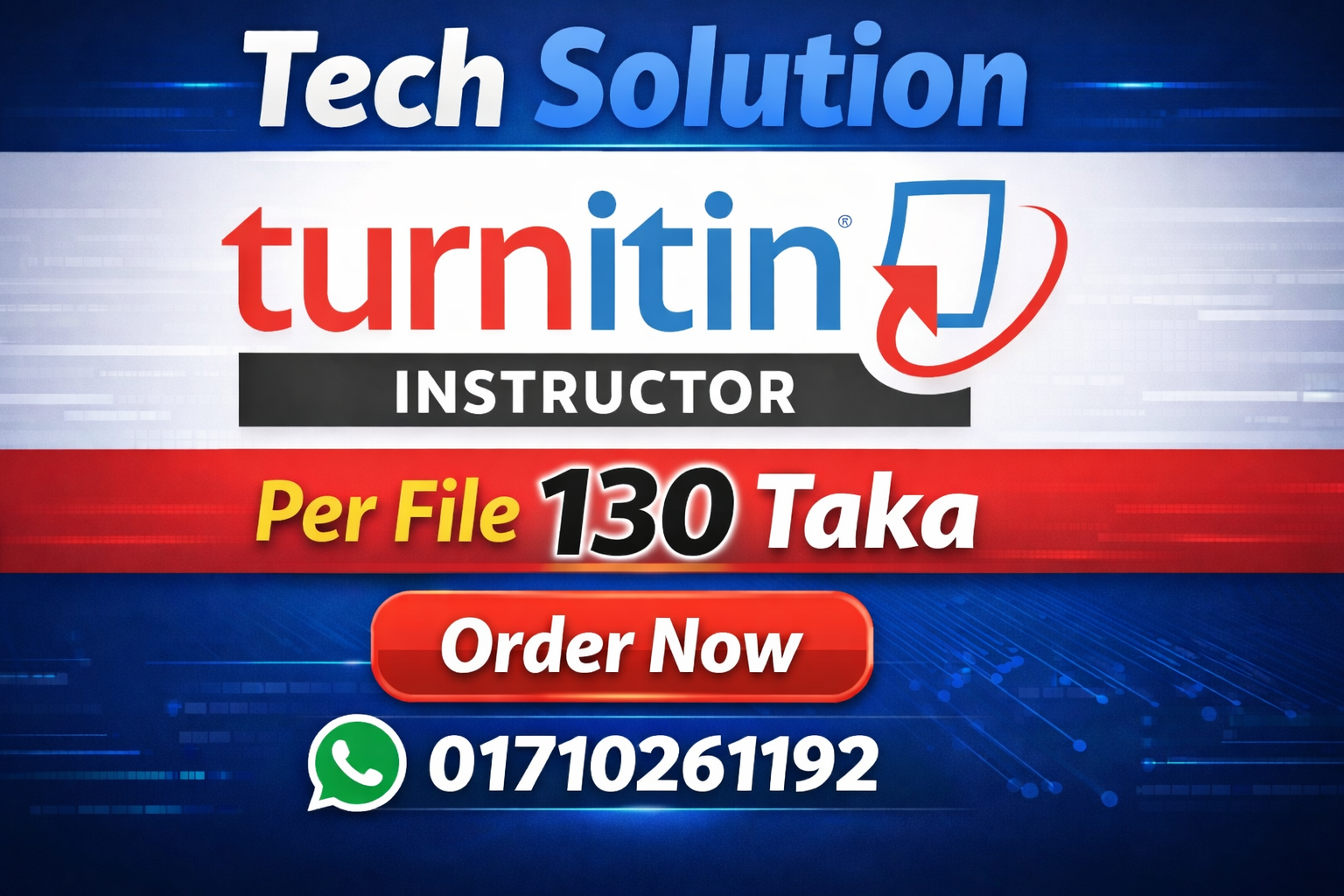 Turnitin Instructor (File Check)
